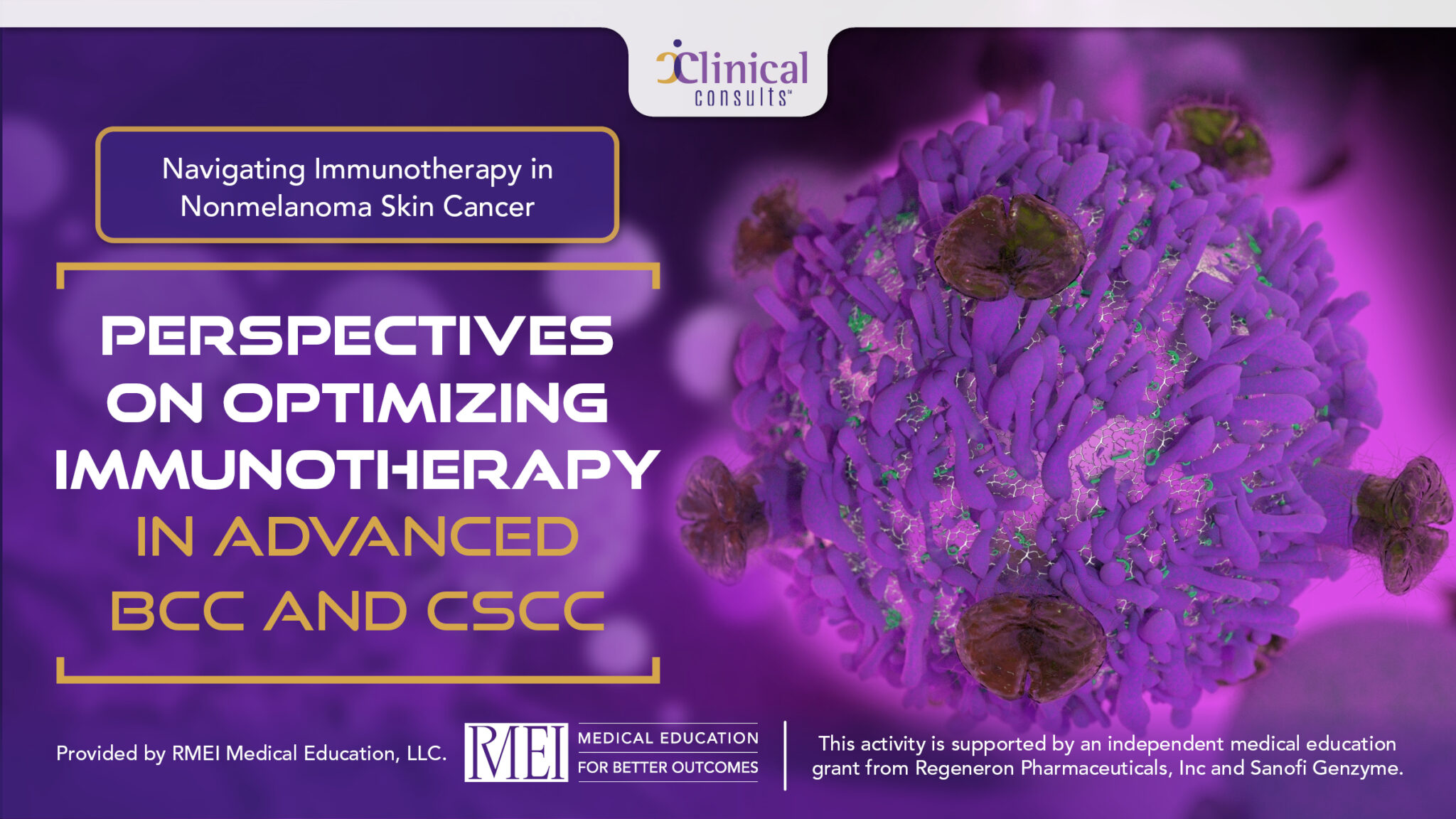 Perspectives on Optimizing Immunotherapy in Advanced BCC and CSCC RMEI